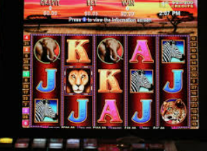 摇钱树捕鱼下载电脑免费版